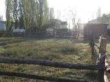 Tn Raduno Parma 004